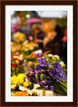 Framed Bunch of flowers at a flower shop, Rue De Buci, Paris, Ile-de-France, France Print