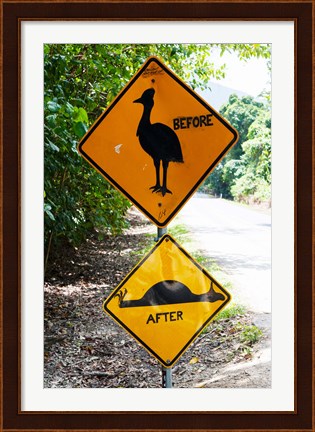 Framed Warning sign at the roadside, Cape Tribulation, Queensland, Australia Print