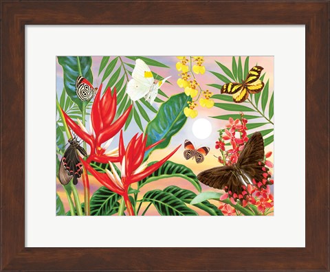 Framed Butterflies and Red Christmas Heliconia Print