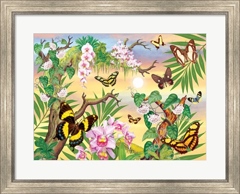 Framed Butterflies Up IN The Canopy Print