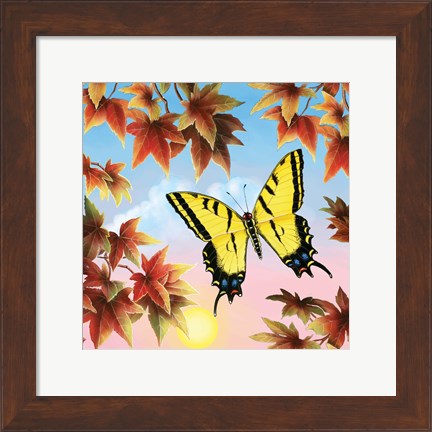 Framed Swallowtail Print