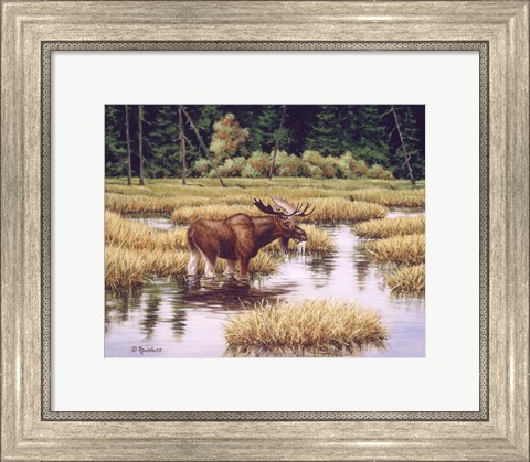 Framed Lone Bull Print