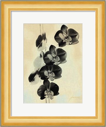 Framed Orchid Blush Panels III Print