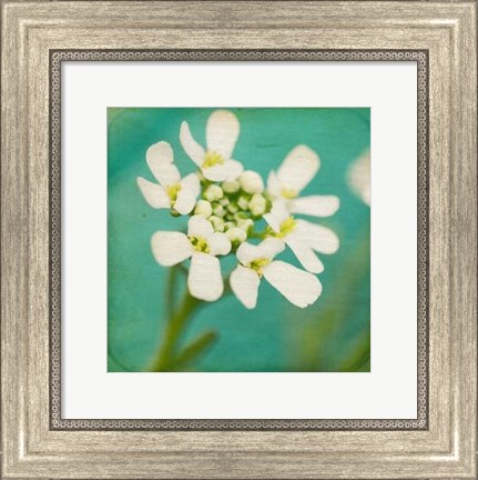 Framed White Flowers III Print