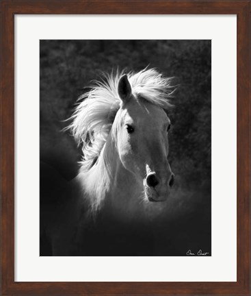 Framed Horse Portrait V Print