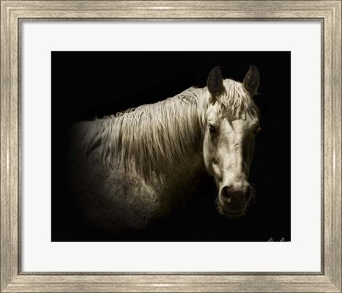 Framed Horse Portrait VI Print