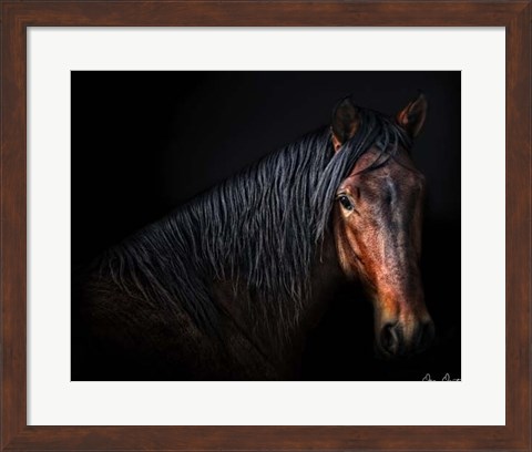 Framed Horse Portrait VII Print