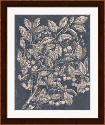 Framed Vintage Fruit &amp; Floral III Print