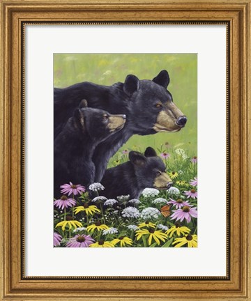 Framed Black Bears Print