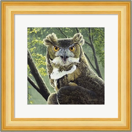 Framed Great Horned Owl Print