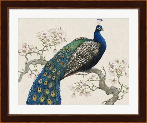 Framed Peacock &amp; Blossoms I Print