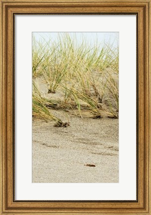 Framed Dunes II Print