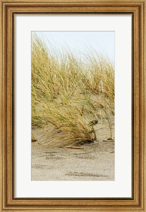 Framed Dunes IV Print