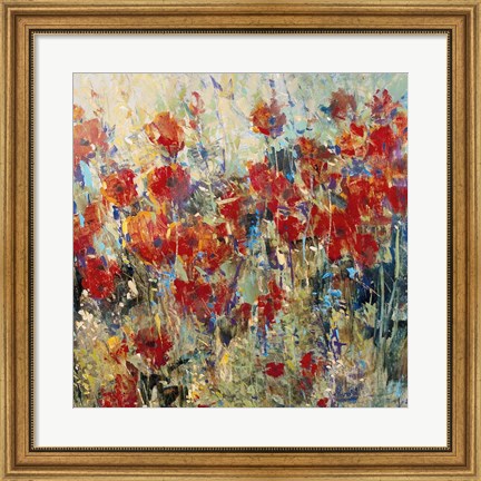 Framed Red Poppy Field II Print