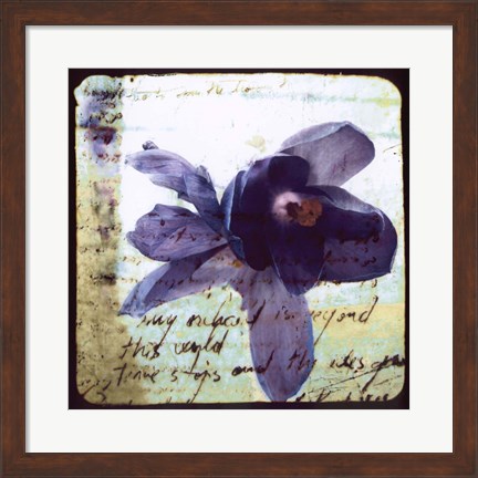 Framed Blooming Purple II Print