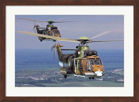 Framed Eurocopter AS532 Cougar helicopters in flight over Bulgaria Print
