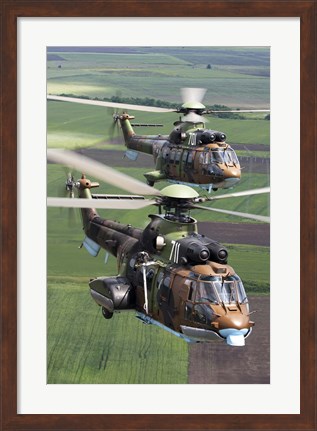 Framed Pair of Bulgarian Air Force Eurocopter AS532 AL Cougar helicopters Print