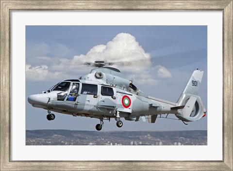 Framed Eurocopter AS-565MB Panther prepares for landing Print