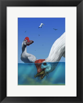 Framed Two Citipati&#39;s hunting crabs Print