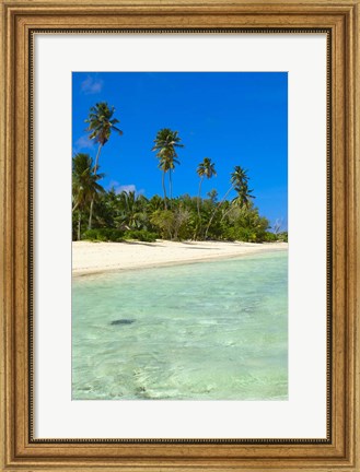 Framed Beach, Desroches Resort, Desroches Island, Seychelles Print