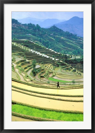 Framed China, Yunnan, Yuanyang Co, Rice Terraces, Mount Ailo Print