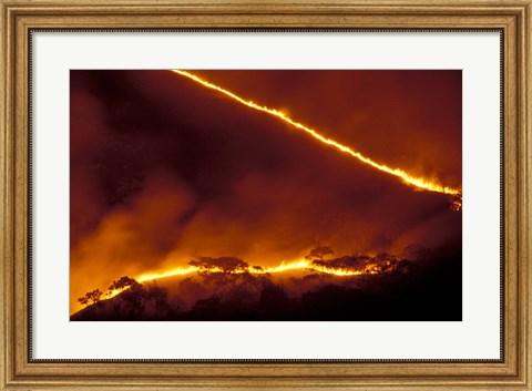 Framed Forest Fire, Gombe National Park, Tanzania Print