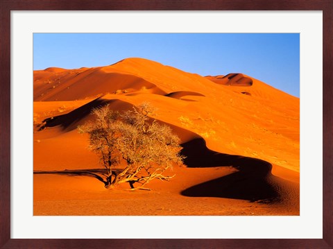 Framed Elim Dune Overcomes, Sesriem, Namib Naukluft Park, Namibia Print