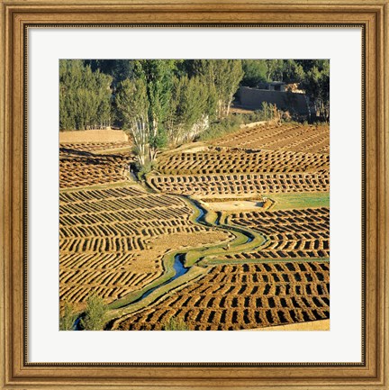 Framed Afghanistan, Bamian Valley, Farmland and irrigation Print