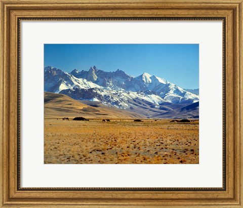 Framed Afghanistan, Bamian Valley, Mountains, Kuchi camp Print