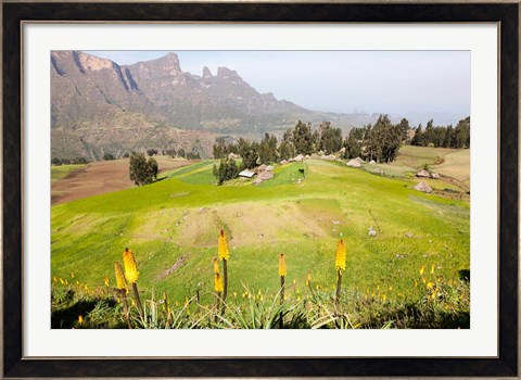 Framed Amiwalka, Semien Mountains National Park, Ethiopia Print