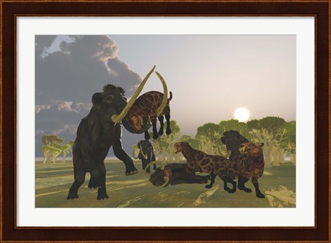 Framed pack of Saber Tooth Cats attack a small Woolly Mammoth Print