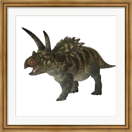 Framed Coahuilaceratops dinosaur Print