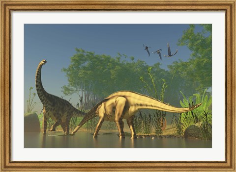 Framed Spinophorosaurus dinosaurs grazing the inhabited swamps of the Jurassic period Print