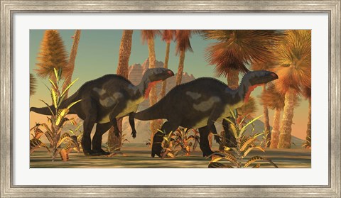 Framed Camptosaurus dinosaurs wander through a prehistoric jungle Print