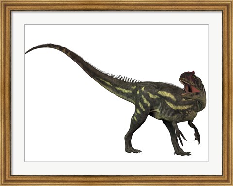 Framed Allosaurus, a prehistoric era dinosaur Print