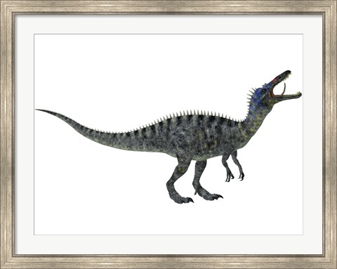 Framed Suchomimus, a large dinosaur from the Cretaceous Period Print