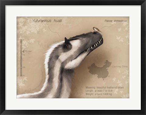 Framed Yutyrannus huali is a feathered tyrannosauroid from the Early Cretacous of China Print