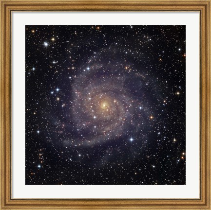 Framed IC 342, an intermediate spiral galaxy in the constellation Camelopardalis Print