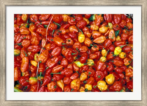 Framed Hot Red Pepper at the Local Market, Madagascar Print