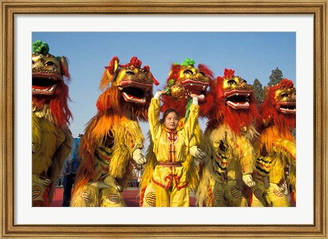 Framed Lion dance performance celebrating Chinese New Year Beijing China - MR Print