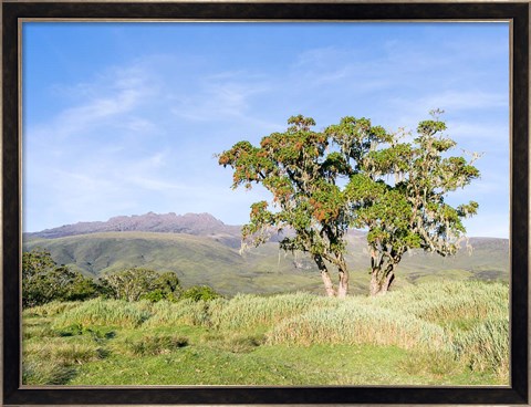 Framed Mount Kenya NP, Site in the highlands of central Kenya, Africa. UNESCO Print