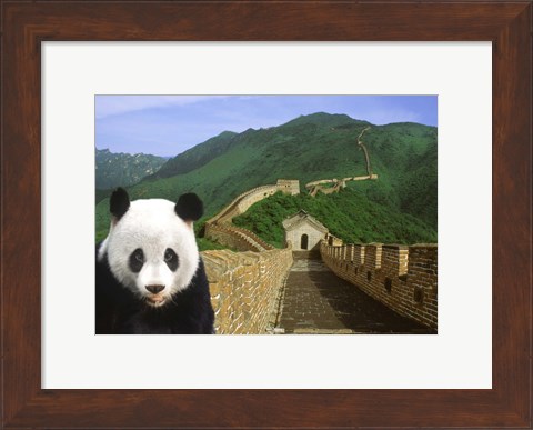 Framed Panda at the Great Wall of China Print