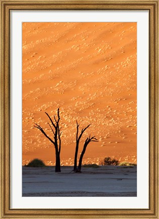 Framed Namibia, Namib-Naukluft, Sossusvlei Desert, Dead Vlei Print