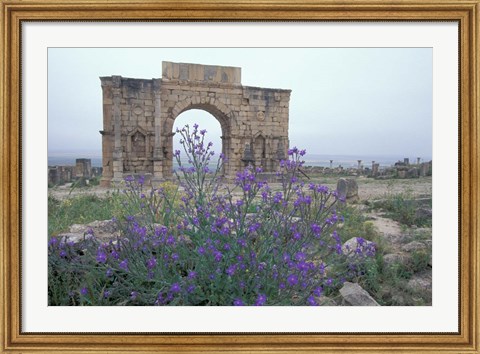 Framed Ruins of Triumphal Arch in Ancient Roman city, Morocco Print