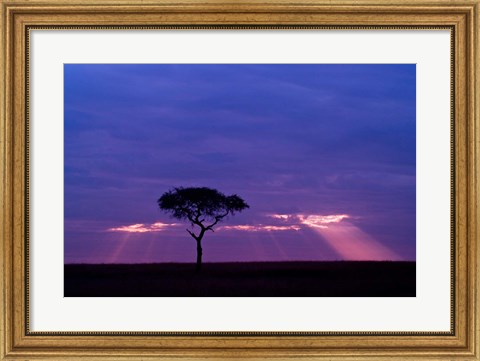 Framed Blue skies, Maasai Mara, Kenya Print