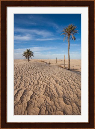 Framed Great Dune and Palm Trees, Tunisia Print