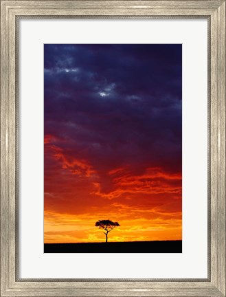 Framed Masai Mara Game Reserve, Kenya Print