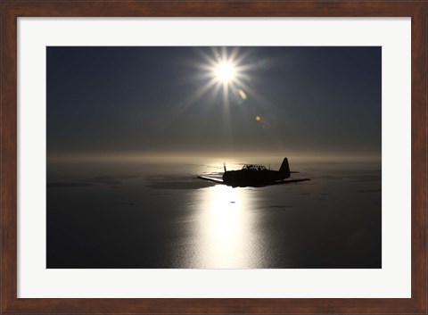 Framed silhouette of North American T-6 Texan warbird in Swedish Air Force colors Print