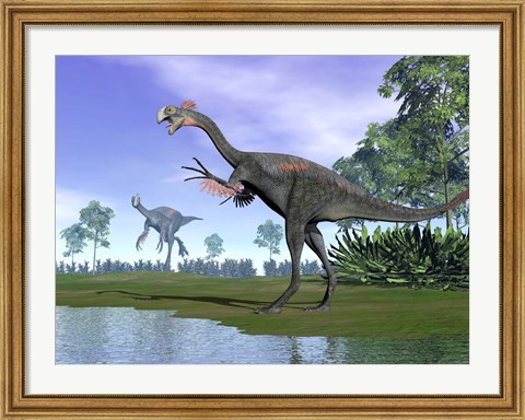 Framed Two Gigantoraptor dinosaurs in a prehistoric environment Print