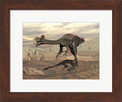 Framed Gigantoraptor dinosaur walking  on rocky terrain Print